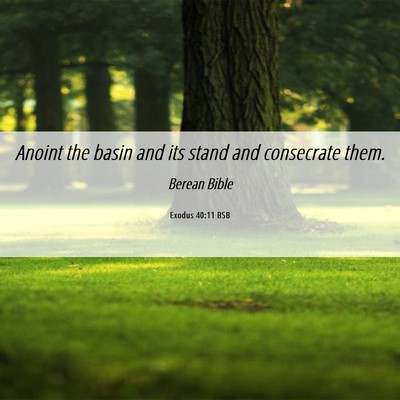 Picture 06 - Exodus 40:11 BSB - Anoint the basin and its stand and consecrate - Bible Verse Picture