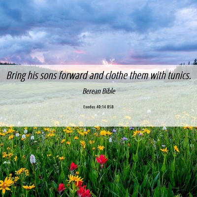 Picture 06 - Exodus 40:14 BSB - Bring his sons forward and clothe them with - Bible Verse Picture
