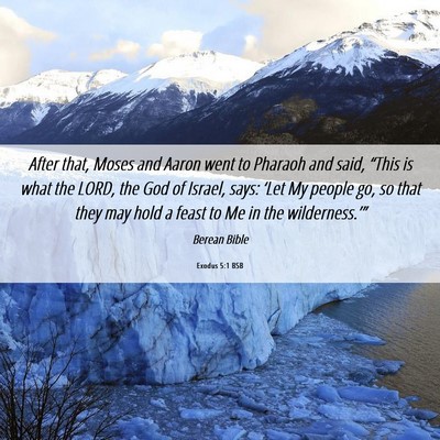 Picture 06 - Exodus 5:1 BSB - After that, Moses and Aaron went to Pharaoh and - Bible Verse Picture