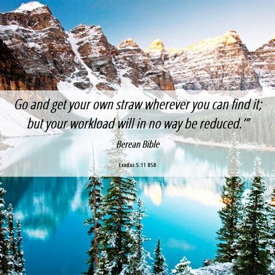 Picture 06 - Exodus 5:11 BSB - Go and get your own straw wherever you can find - Bible Verse Picture