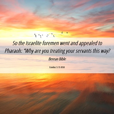 Picture 06 - Exodus 5:15 BSB - So the Israelite foremen went and appealed to - Bible Verse Picture
