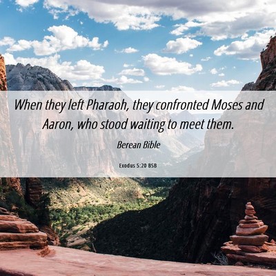 Picture 06 - Exodus 5:20 BSB - When they left Pharaoh, they confronted Moses and - Bible Verse Picture