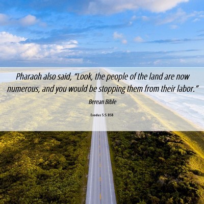 Picture 06 - Exodus 5:5 BSB - Pharaoh also said, “Look, the people of the - Bible Verse Picture