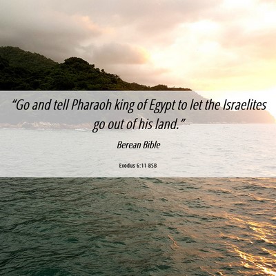 Picture 06 - Exodus 6:11 BSB - “Go and tell Pharaoh king of Egypt to let the - Bible Verse Picture