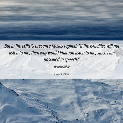 Picture 06 - Exodus 6:12 BSB - But in the LORD’s presence Moses replied, “If - Bible Verse Picture