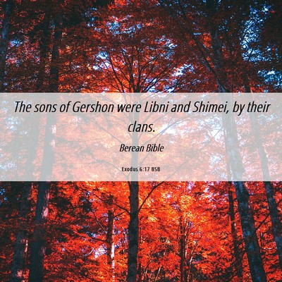 Picture 06 - Exodus 6:17 BSB - The sons of Gershon were Libni and Shimei, by - Bible Verse Picture