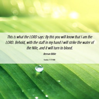 Picture 06 - Exodus 7:17 BSB - This is what the LORD says: By this you will know - Bible Verse Picture