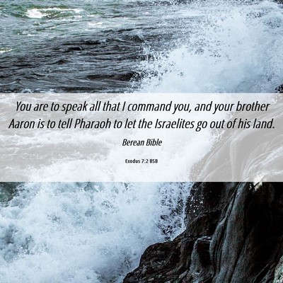 Picture 06 - Exodus 7:2 BSB - You are to speak all that I command you, and your - Bible Verse Picture