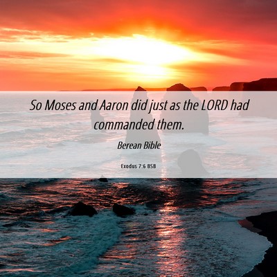 Picture 06 - Exodus 7:6 BSB - So Moses and Aaron did just as the LORD had - Bible Verse Picture