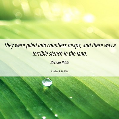 Picture 06 - Exodus 8:14 BSB - They were piled into countless heaps, and there - Bible Verse Picture