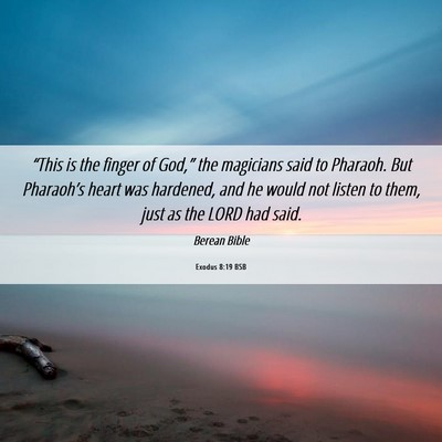 Picture 06 - Exodus 8:19 BSB - “This is the finger of God,” the magicians - Bible Verse Picture
