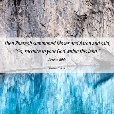 Picture 06 - Exodus 8:25 BSB - Then Pharaoh summoned Moses and Aaron and said, - Bible Verse Picture