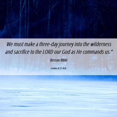 Picture 06 - Exodus 8:27 BSB - We must make a three-day journey into the - Bible Verse Picture