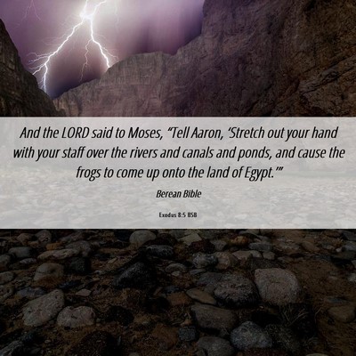 Picture 06 - Exodus 8:5 BSB - And the LORD said to Moses, “Tell Aaron, - Bible Verse Picture