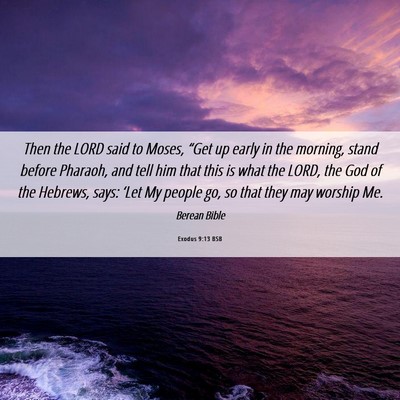 Picture 06 - Exodus 9:13 BSB - Then the LORD said to Moses, “Get up early in - Bible Verse Picture