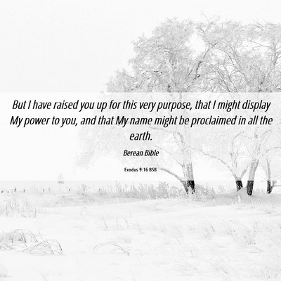 Picture 06 - Exodus 9:16 BSB - But I have raised you up for this very purpose, - Bible Verse Picture