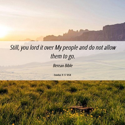 Picture 06 - Exodus 9:17 BSB - Still, you lord it over My people and do not - Bible Verse Picture