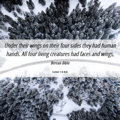 Picture 06 - Ezekiel 1:8 BSB - Under their wings on their four sides they had - Bible Verse Picture