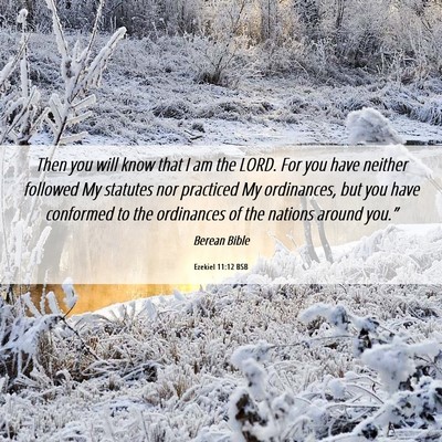 Picture 06 - Ezekiel 11:12 BSB - Then you will know that I am the LORD. For you - Bible Verse Picture
