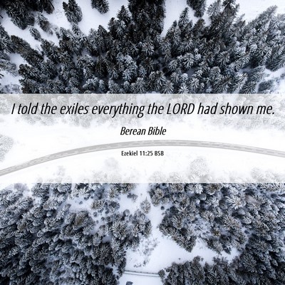 Picture 06 - Ezekiel 11:25 BSB - I told the exiles everything the LORD had shown - Bible Verse Picture