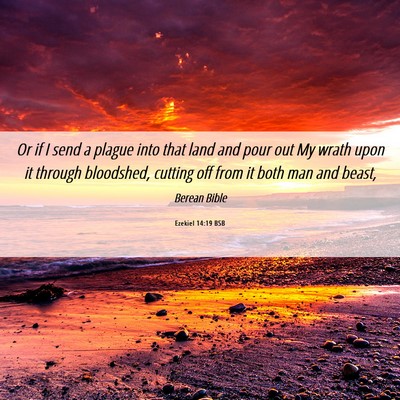 Picture 06 - Ezekiel 14:19 BSB - Or if I send a plague into that land and pour out - Bible Verse Picture