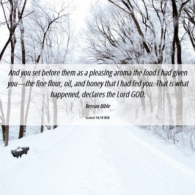 Picture 06 - Ezekiel 16:19 BSB - And you set before them as a pleasing aroma the - Bible Verse Picture