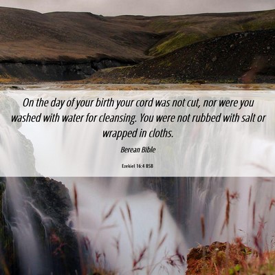 Picture 06 - Ezekiel 16:4 BSB - On the day of your birth your cord was not cut, - Bible Verse Picture