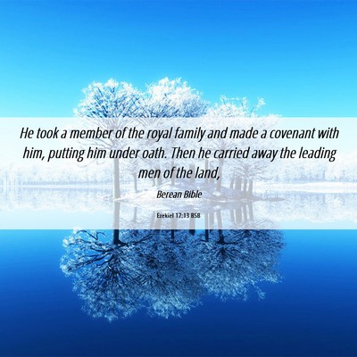 Picture 06 - Ezekiel 17:13 BSB - He took a member of the royal family and made a - Bible Verse Picture