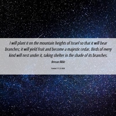 Picture 06 - Ezekiel 17:23 BSB - I will plant it on the mountain heights of Israel - Bible Verse Picture