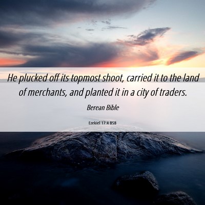 Picture 06 - Ezekiel 17:4 BSB - He plucked off its topmost shoot, carried it to - Bible Verse Picture