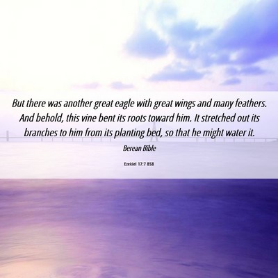 Picture 06 - Ezekiel 17:7 BSB - But there was another great eagle with great - Bible Verse Picture