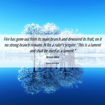 Picture 06 - Ezekiel 19:14 BSB - Fire has gone out from its main branch and - Bible Verse Picture