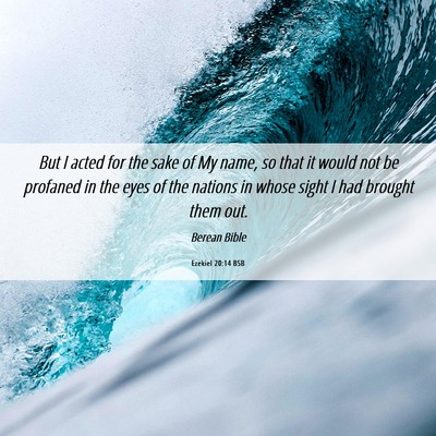Picture 06 - Ezekiel 20:14 BSB - But I acted for the sake of My name, so that it - Bible Verse Picture