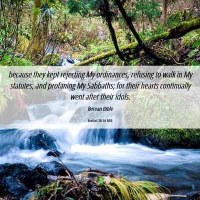 Picture 06 - Ezekiel 20:16 BSB - because they kept rejecting My ordinances, - Bible Verse Picture