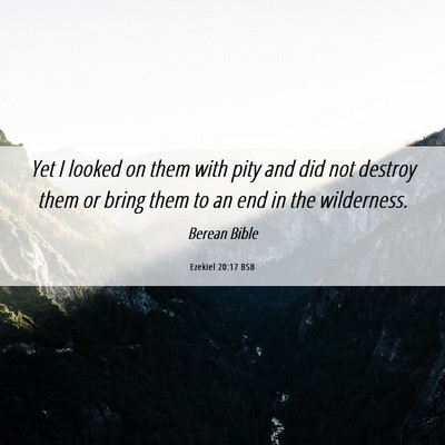 Picture 06 - Ezekiel 20:17 BSB - Yet I looked on them with pity and did not - Bible Verse Picture