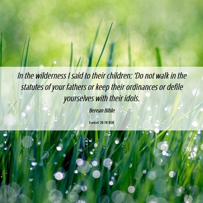 Picture 06 - Ezekiel 20:18 BSB - In the wilderness I said to their children: ‘Do - Bible Verse Picture