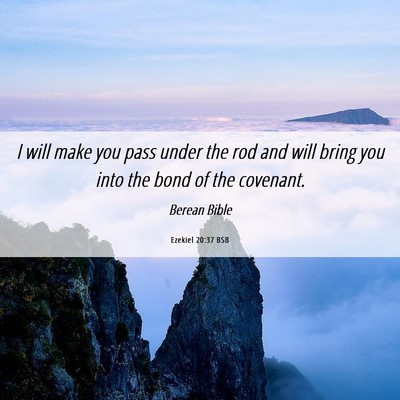 Picture 06 - Ezekiel 20:37 BSB - I will make you pass under the rod and will bring - Bible Verse Picture