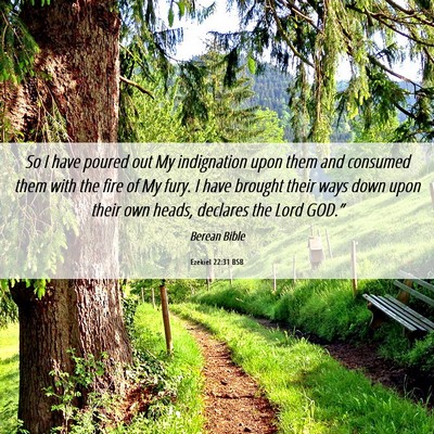Picture 06 - Ezekiel 22:31 BSB - So I have poured out My indignation upon them and - Bible Verse Picture