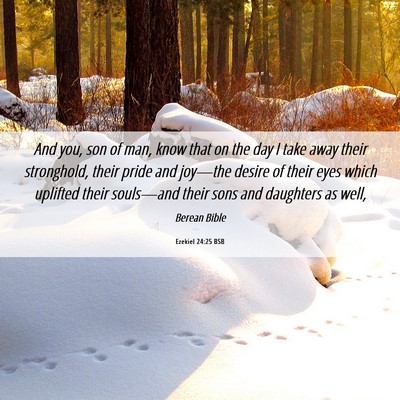Picture 06 - Ezekiel 24:25 BSB - And you, son of man, know that on the day I take - Bible Verse Picture