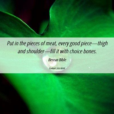 Picture 06 - Ezekiel 24:4 BSB - Put in the pieces of meat, every good - Bible Verse Picture