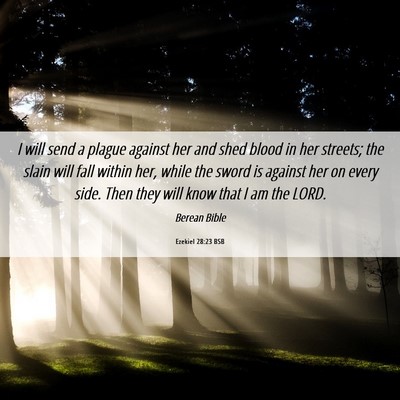 Picture 06 - Ezekiel 28:23 BSB - I will send a plague against her and shed blood - Bible Verse Picture