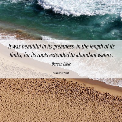 Picture 06 - Ezekiel 31:7 BSB - It was beautiful in its greatness, in the length - Bible Verse Picture
