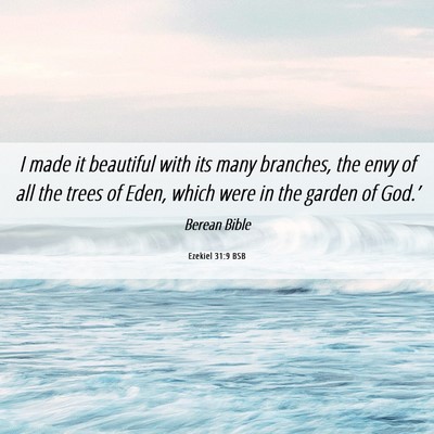 Picture 06 - Ezekiel 31:9 BSB - I made it beautiful with its many branches, the - Bible Verse Picture