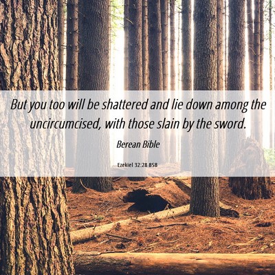 Picture 06 - Ezekiel 32:28 BSB - But you too will be shattered and lie down among - Bible Verse Picture
