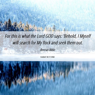 Picture 06 - Ezekiel 34:11 BSB - For this is what the Lord GOD says: ‘Behold, I - Bible Verse Picture