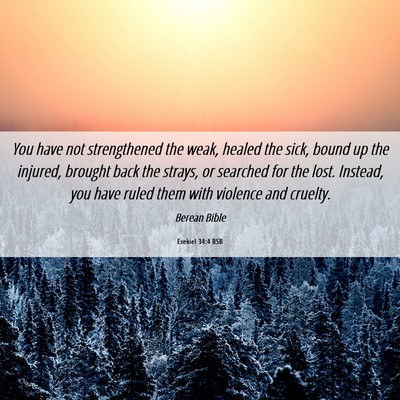 Picture 06 - Ezekiel 34:4 BSB - You have not strengthened the weak, healed the - Bible Verse Picture