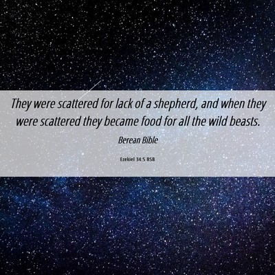 Picture 06 - Ezekiel 34:5 BSB - They were scattered for lack of a shepherd, and - Bible Verse Picture