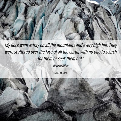 Picture 06 - Ezekiel 34:6 BSB - My flock went astray on all the mountains and - Bible Verse Picture
