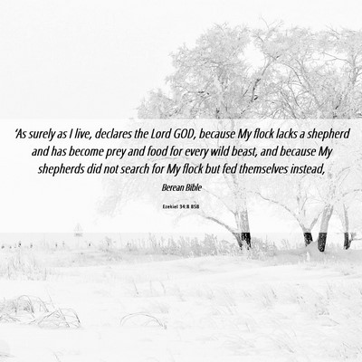 Picture 06 - Ezekiel 34:8 BSB - ‘As surely as I live, declares the Lord GOD, - Bible Verse Picture
