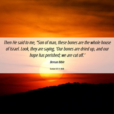Picture 06 - Ezekiel 37:11 BSB - Then He said to me, “Son of man, these bones - Bible Verse Picture